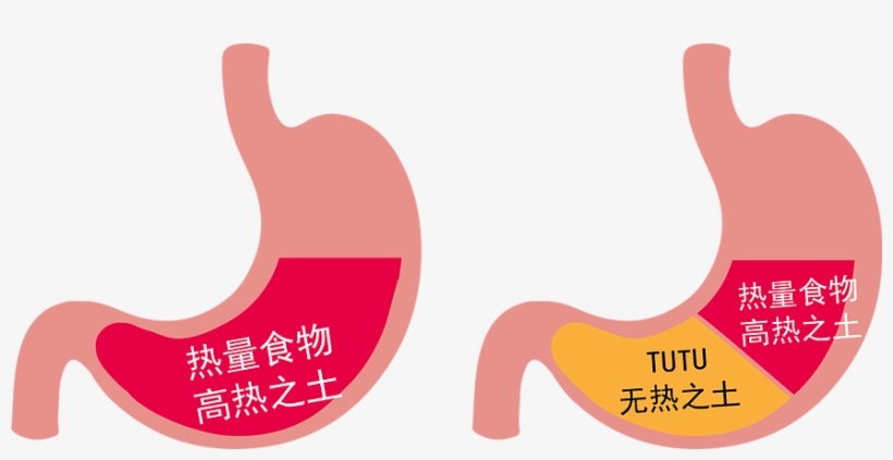瘦身原理 - Graphic Design, transparent png #9614091