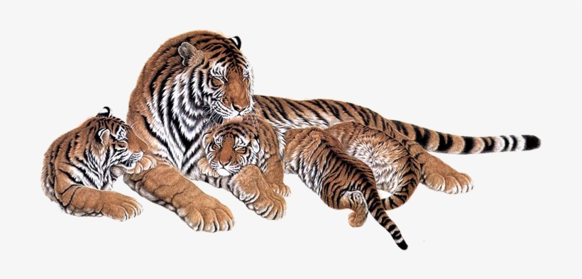 Tiger Images Hd - 水墨 素材, transparent png #9614544