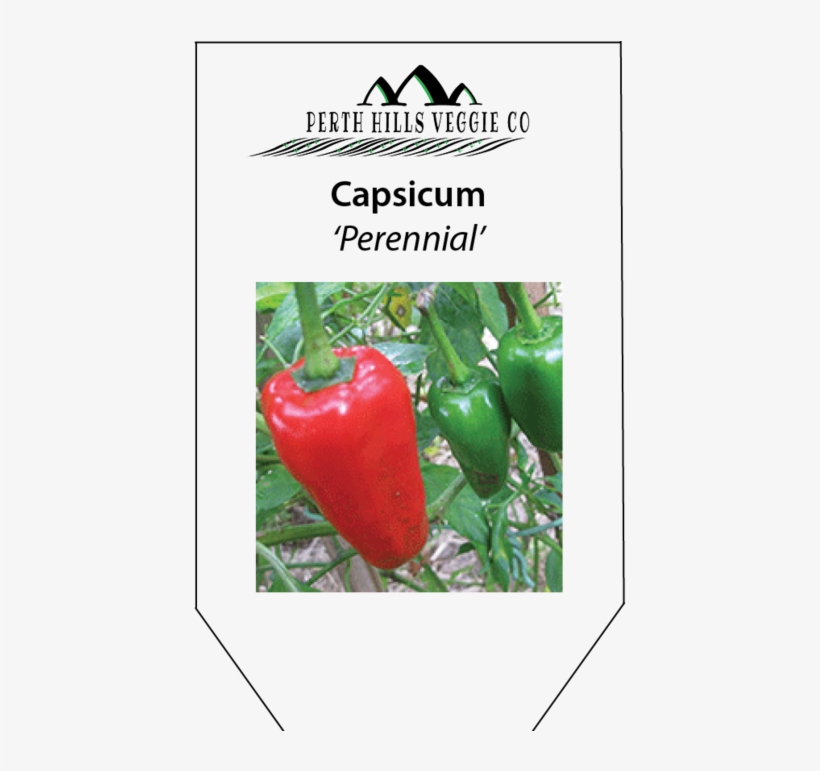 Capsicum 'perennial' - Piquillo Pepper, transparent png #9615547