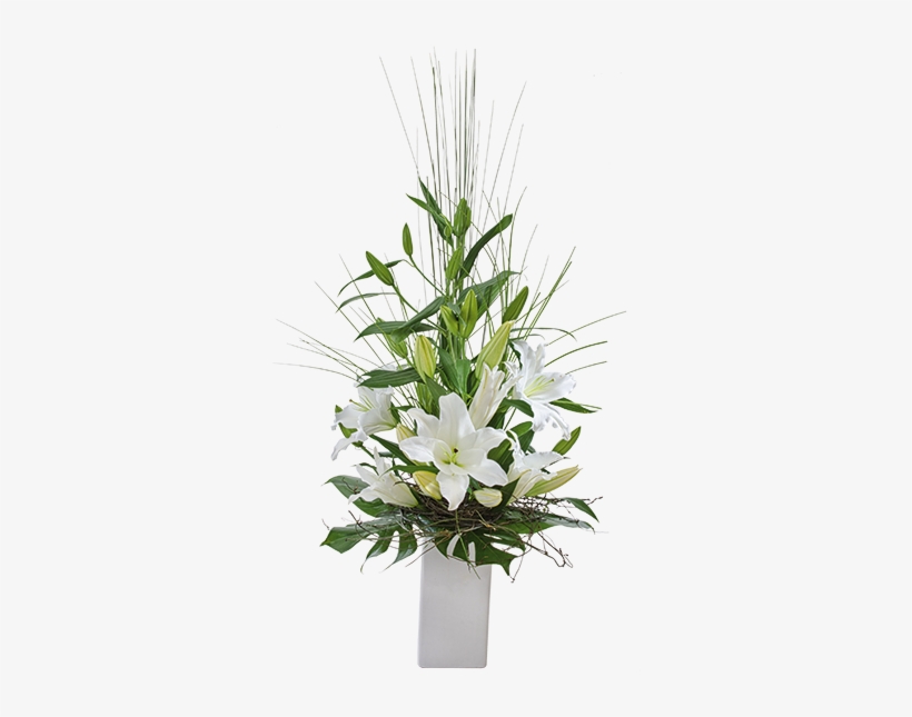 Shop, transparent png #9615942