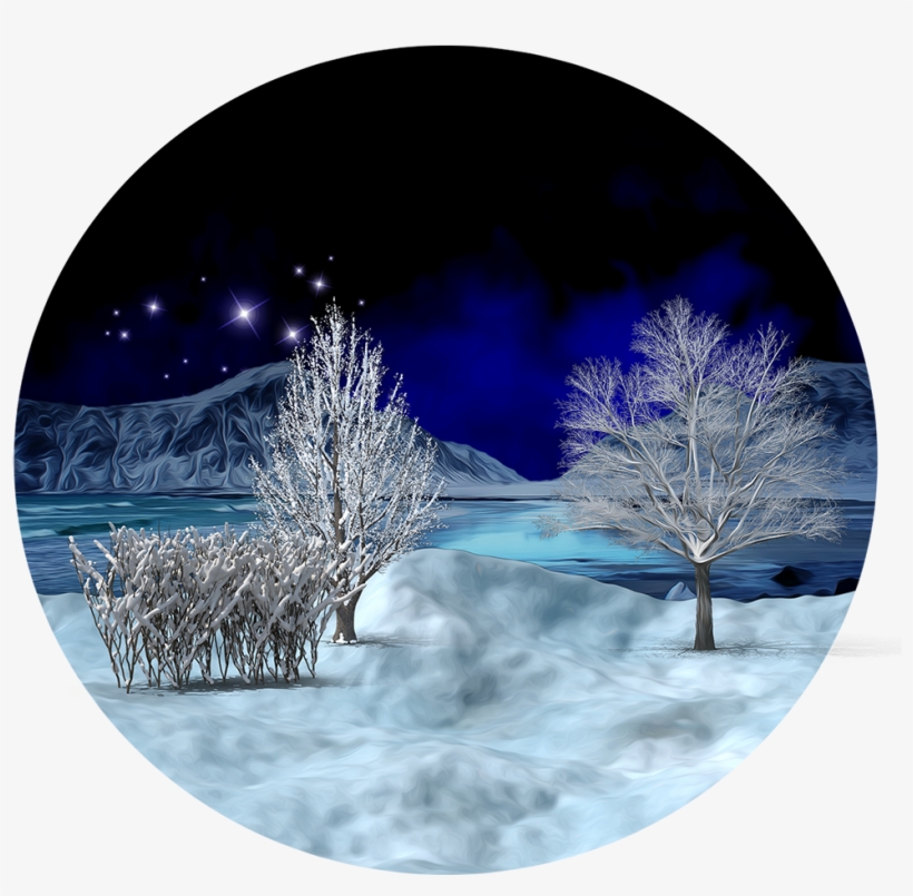 Christmas Tree, transparent png #9616532