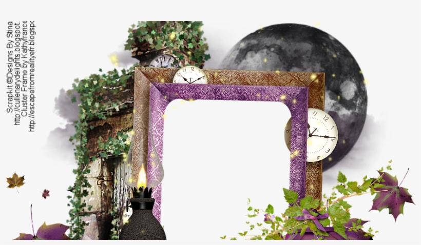 Eyewear Designs By Frances - Picture Frame, transparent png #9616747