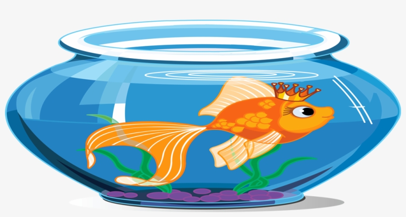 Tap Fish Aquarium - Fish Inside The Aquarium, transparent png #9616901