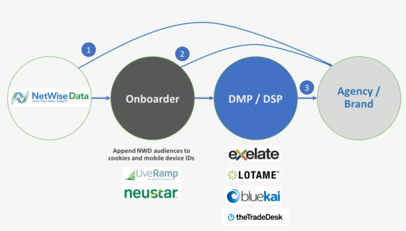 Distribution Options Timmed - Circle, transparent png #9619325