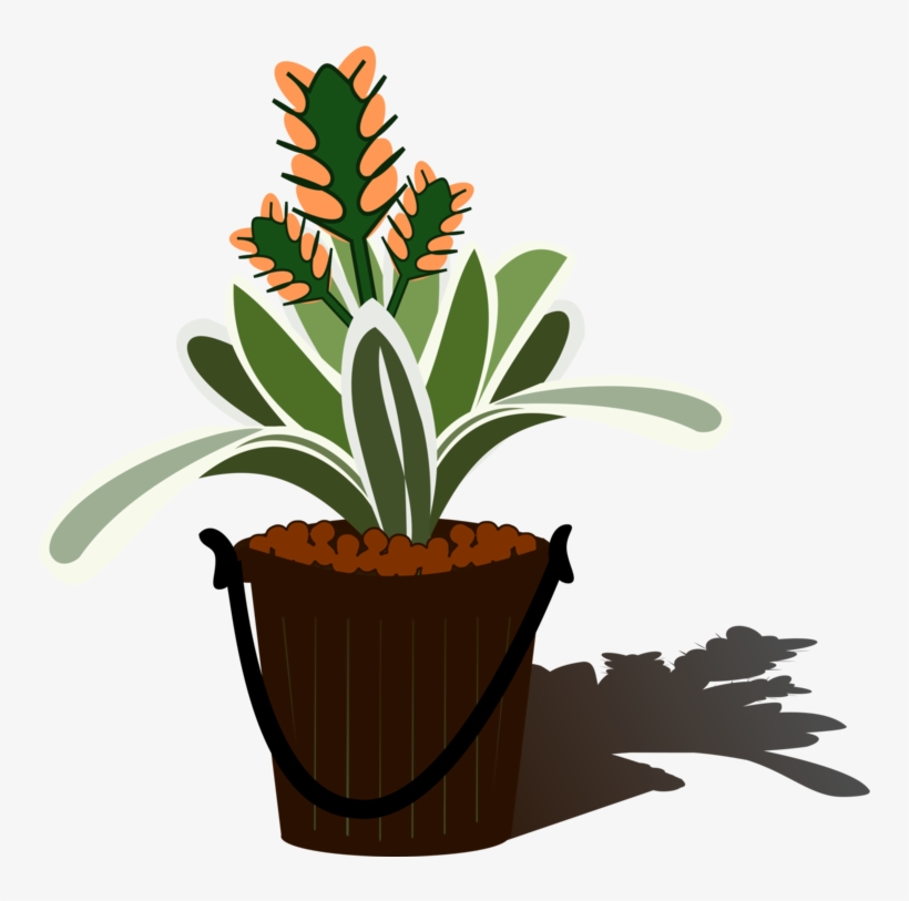 Flowering Aechmea Flowerpot Free - Bromelia Png Clipart, transparent png #9620866