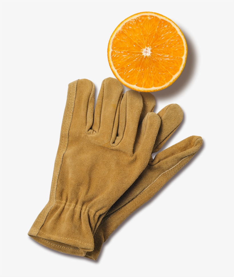 Florida's Natural Orange Juice The Best Orange Juice - Orange, transparent png #9624532