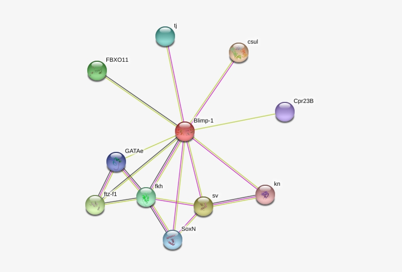 Circle, transparent png #9624840