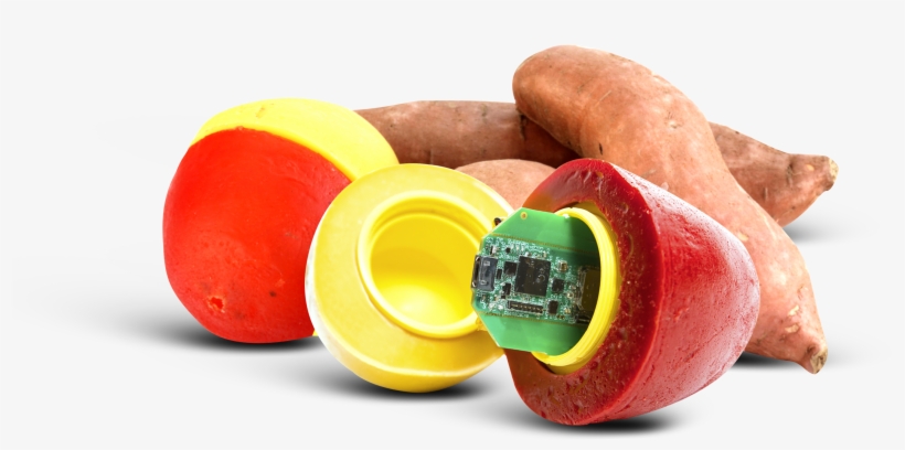 Reduce Waste By Minimizing Bruising, Shatter Damage - Baby Toys, transparent png #9625296