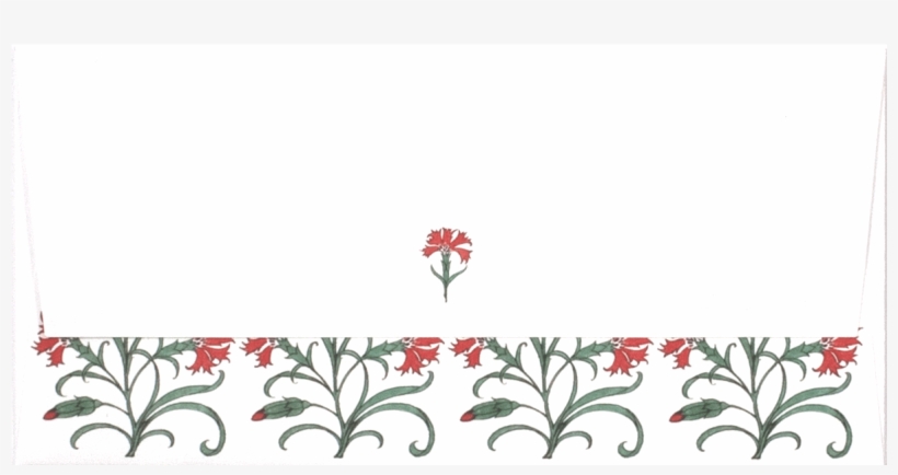 Carnation Envelope - Rosa Glauca, transparent png #9625409