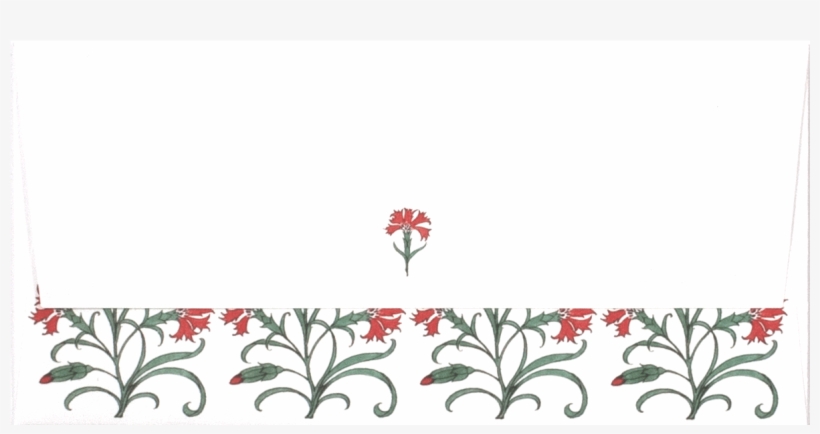 Carnation Envelope - Rosa Glauca, transparent png #9625409