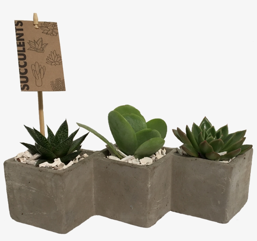 More Views - Flowerpot, transparent png #9625520