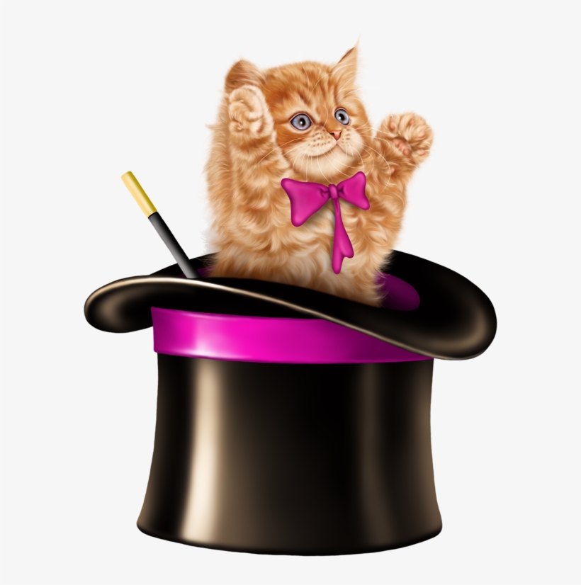 Kitten Cartoon, Kitten Images, Tube, Clip Art, Card - Cat In Magic Hat, transparent png #9625581