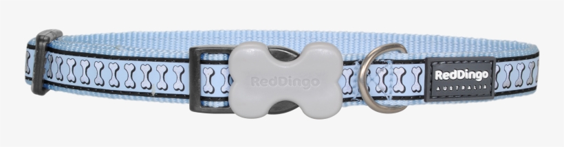 Red Dingo Small Dog Collar Reflective Bones Blue-a126646 - Buckle, transparent png #9625772