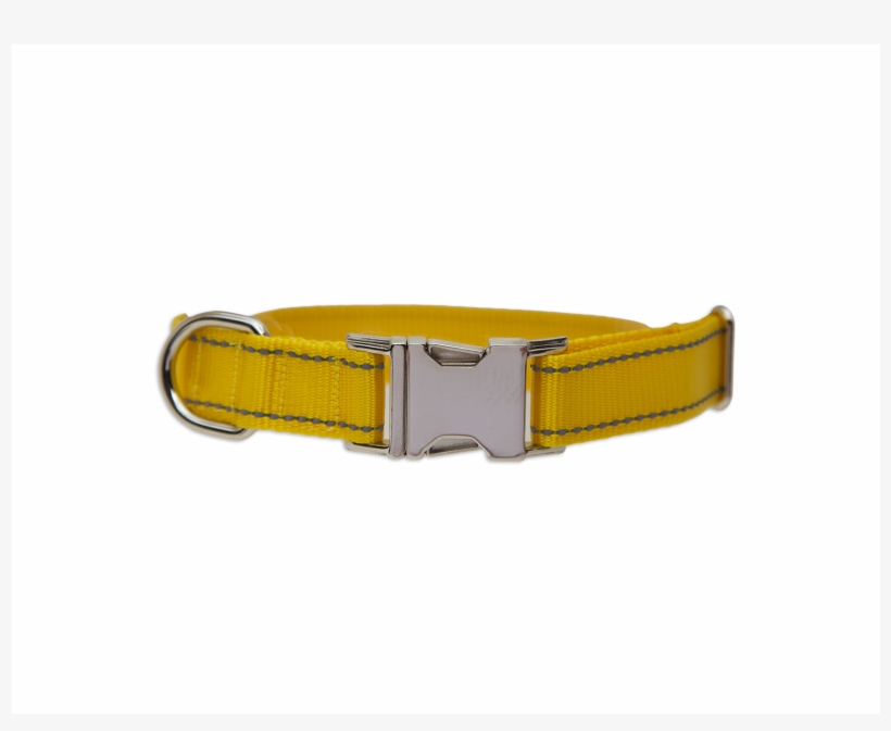 Belt, transparent png #9625810