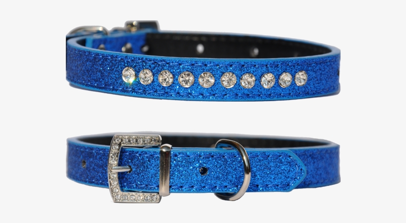 Candy Finish Blueberry Coloured Dog Collar With Rhinestone - Buckle, transparent png #9625887