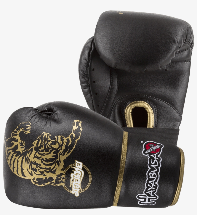 Muay Thai 10oz Gloves - Hayabusa Tiger Gloves, transparent png #9627431