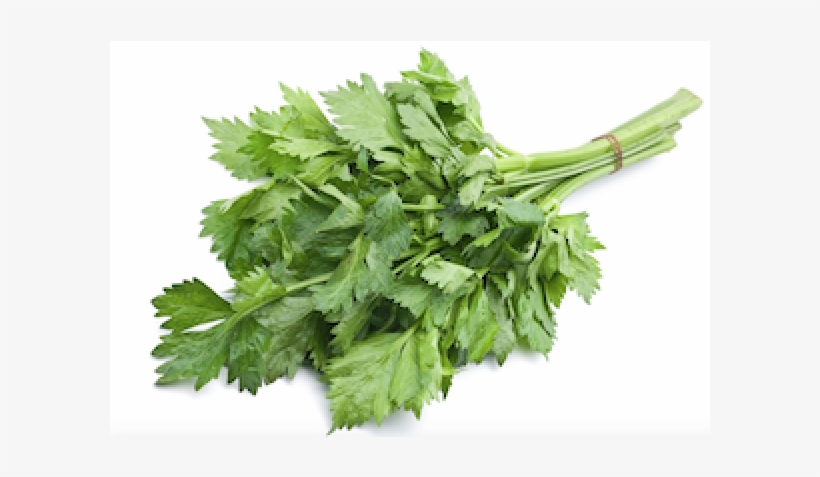 Celery - Daun Celery, transparent png #9627888