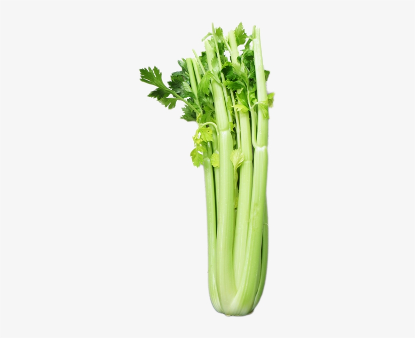 Celery - Broccoli - Leaf Vegetable, transparent png #9628072