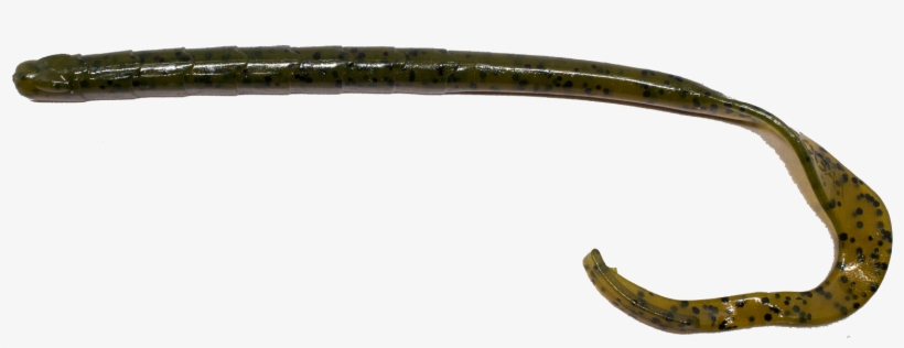 10" Mondo Worm - Bay Pipefish, transparent png #9628880
