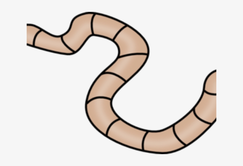 Worm Clipart Outline - Worm Clipart Transparent Background, transparent png #9629148