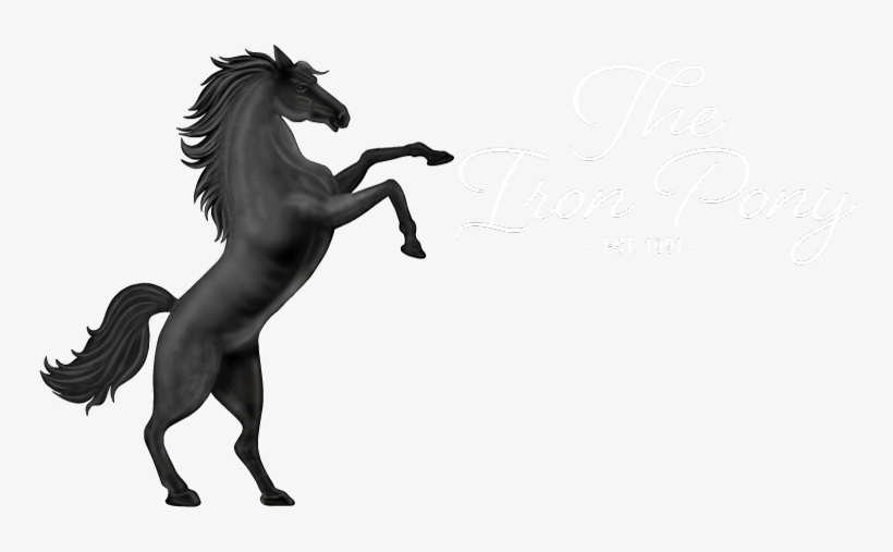 Illustration, transparent png #9629498