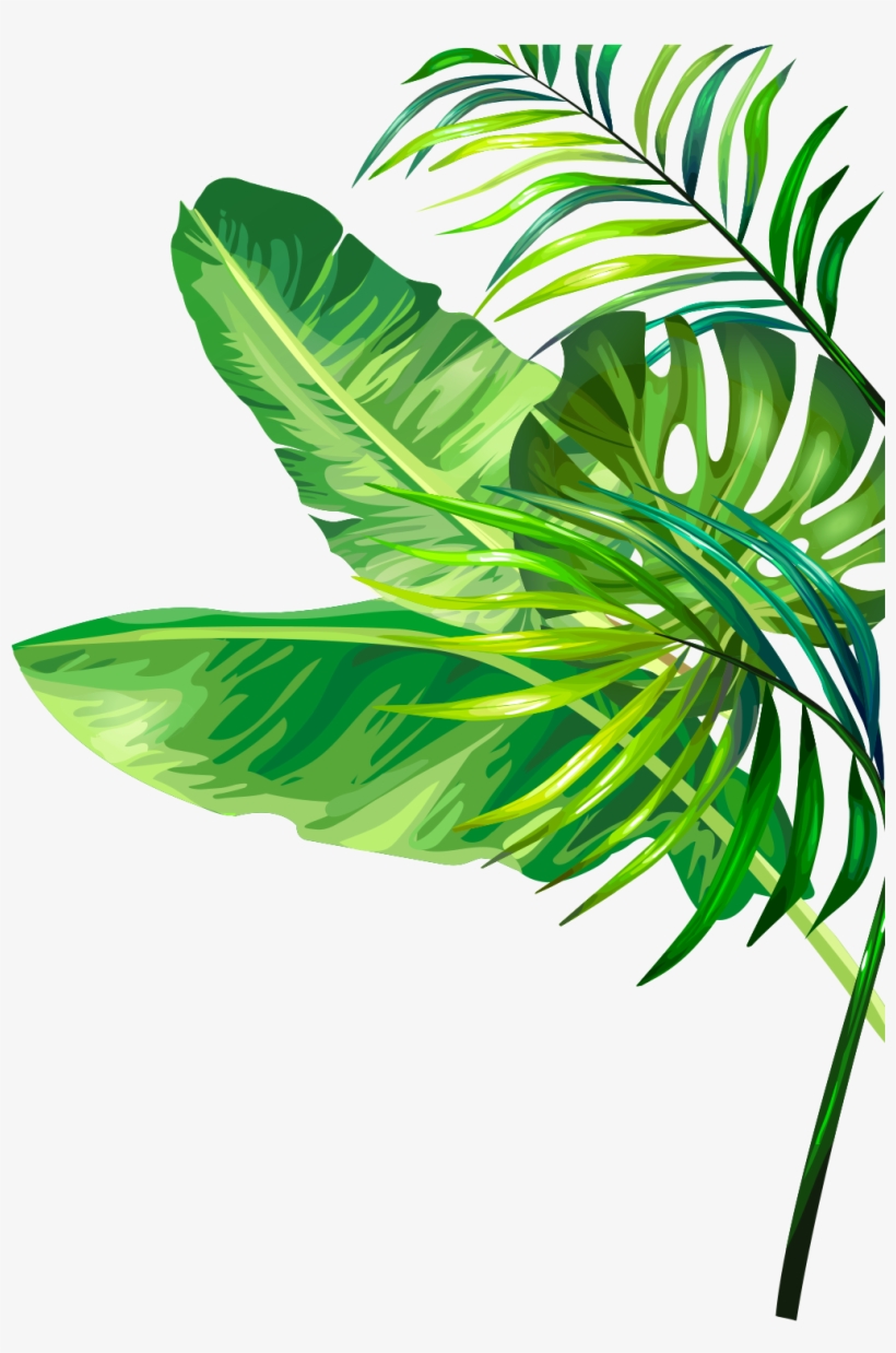 The Little Flower Shop, transparent png #9631636