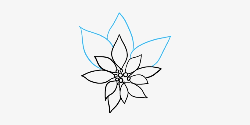 How To Draw Poinsettia - Line Art, transparent png #9632577