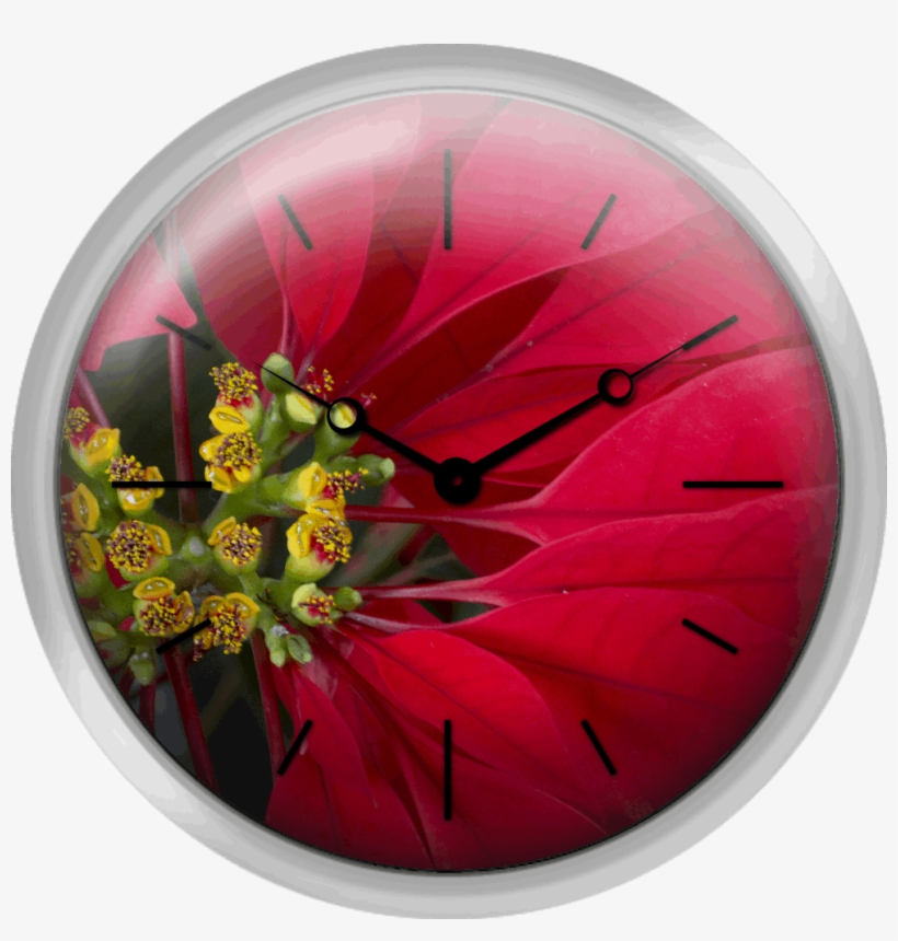 Poinsettia Flower - Wall Clock, transparent png #9632702