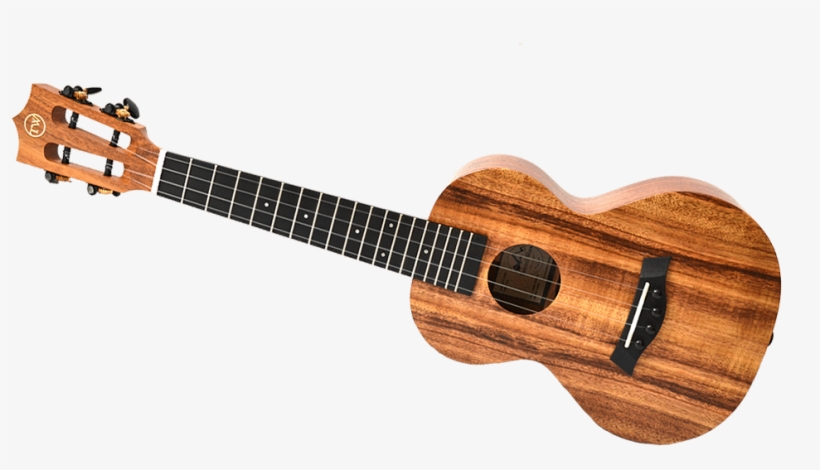 Regarded As Two Of The Top Ukulele Strings On The Market - Acoustic Guitar, transparent png #9632800