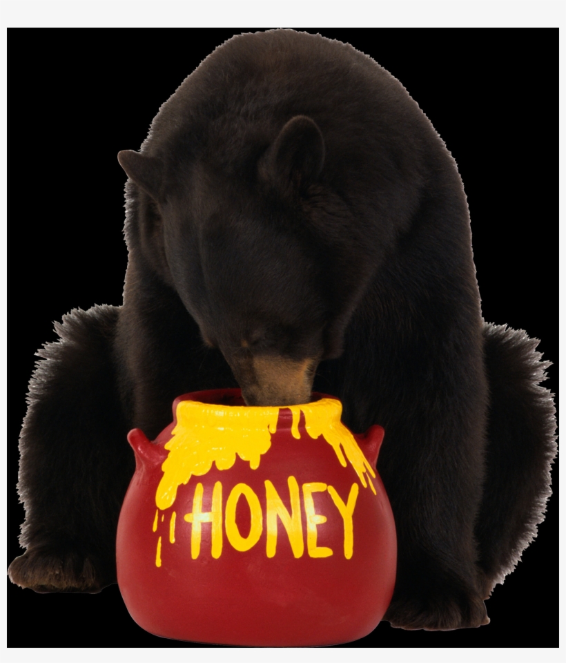 Bear Eating Honey, transparent png #9633211