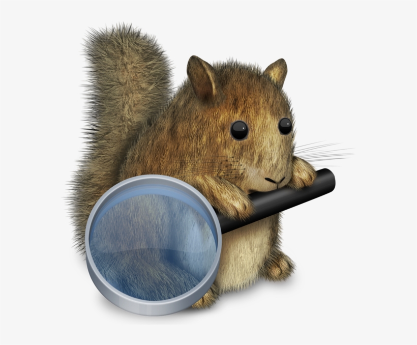Easyfind On The Mac App Store - Easy Find Squirrel, transparent png #9633616