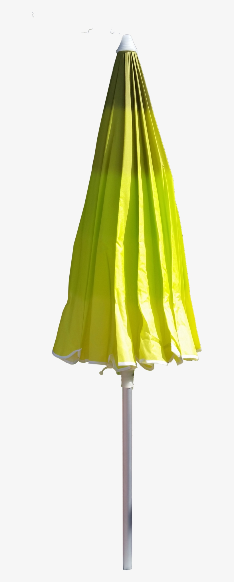 Standard Ez Surf Beach Umbrella Tree Free Transpa Png Standard Ez Surf Beach Umbrella Tree