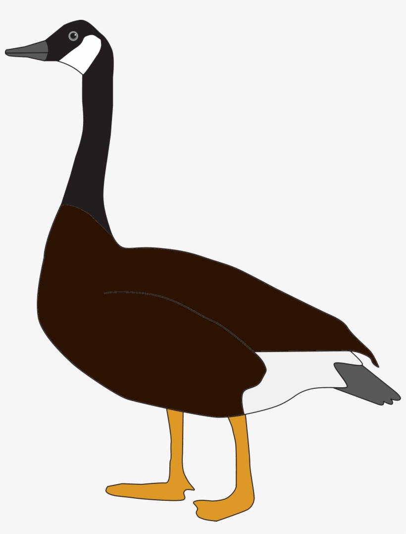 Goose Free Pictures - Goose Png, transparent png #9635796