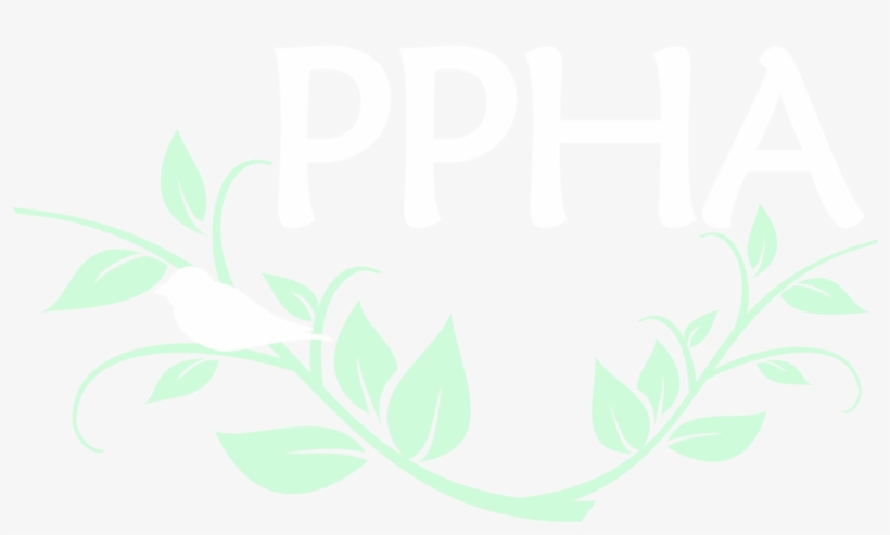 Vine Border Png, transparent png #9635801