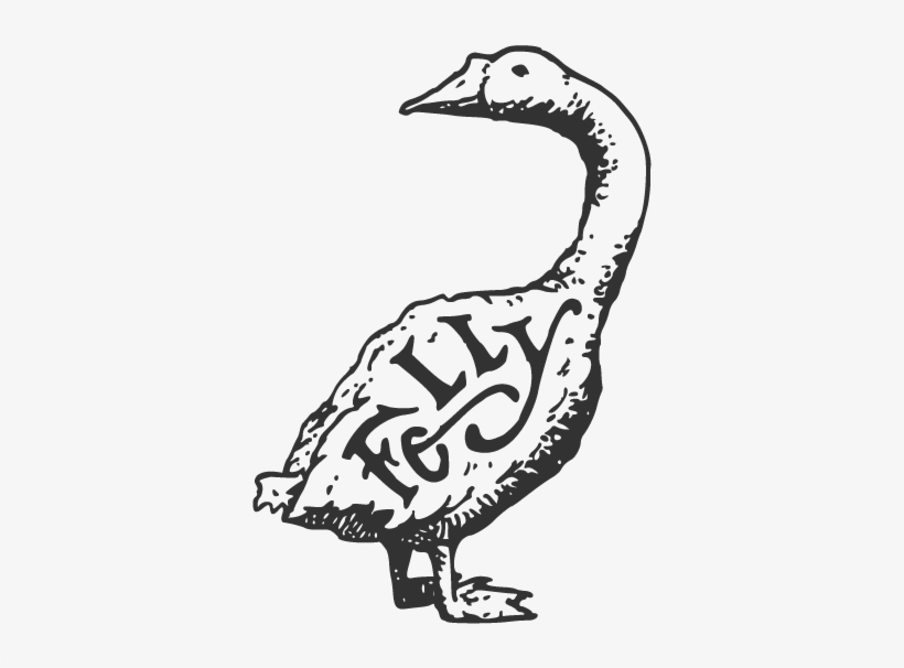 Website Proverbs-goose - Duck, transparent png #9635911