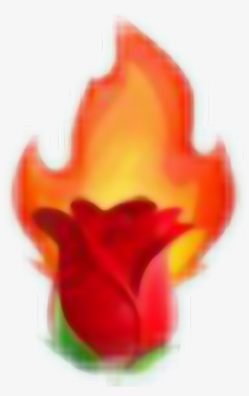 #rose Fire Tumblr Aesthetic Aestheticred Red Emojis - Tulip, transparent png #9636205