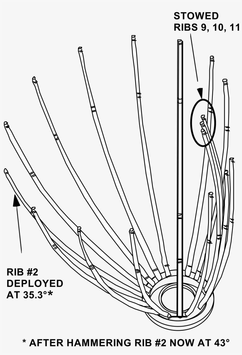 Open - Circle, transparent png #9639920