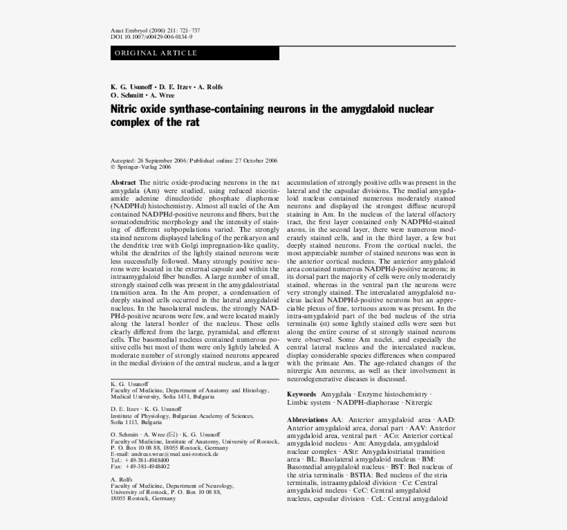 Pdf - Document, transparent png #9640344
