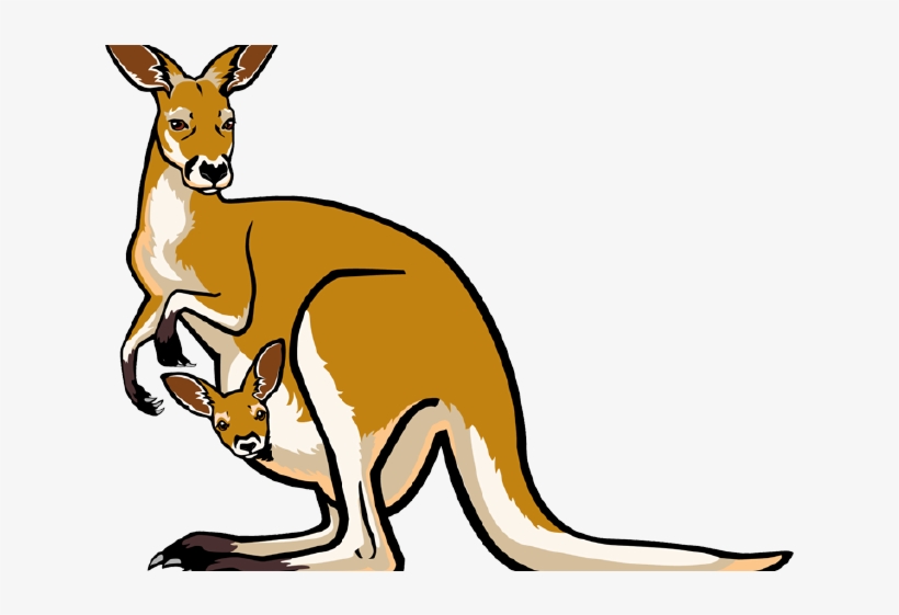 Kangaroo Clipart Red Kangaroo - Clip Art Kangaroo Png, transparent png #9641351