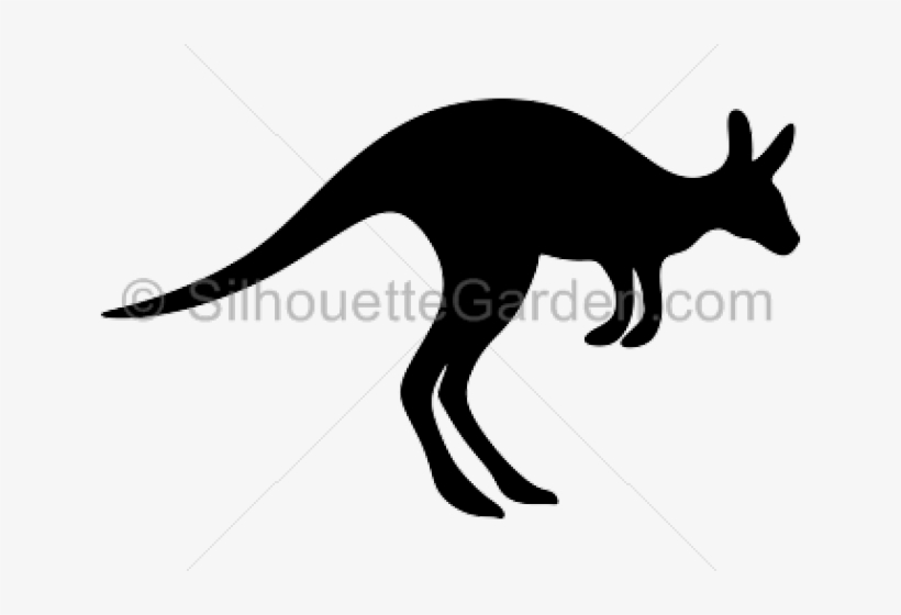 Silhouette Clipart Kangaroo - Kangaroo, transparent png #9641407