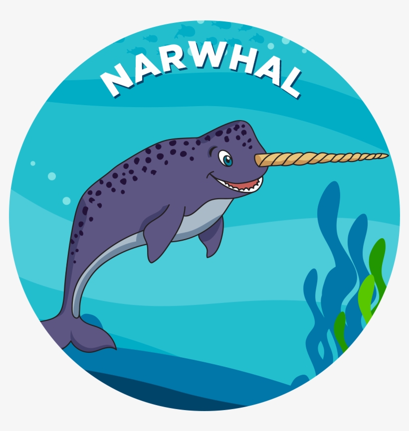 Narwhal - Shark, transparent png #9641409