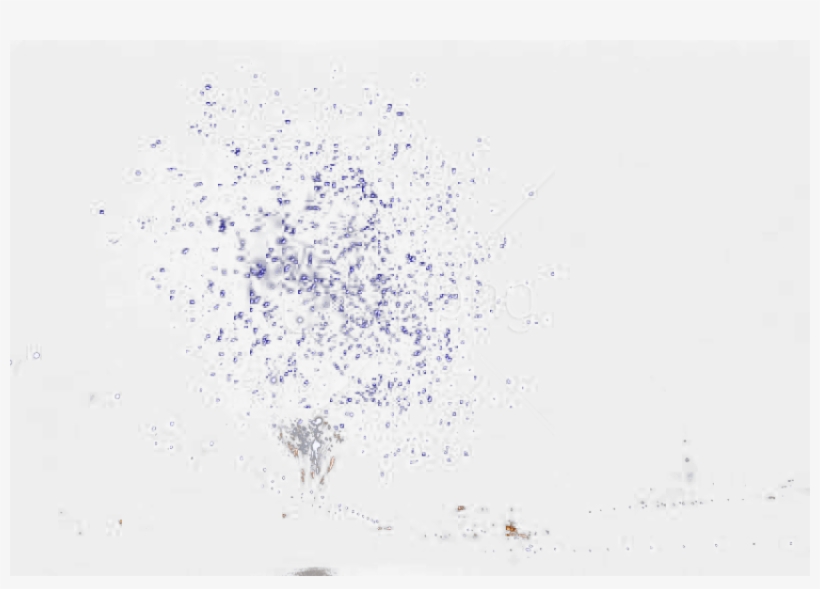 Download Light Png Images Background - Bird Migration, transparent png #9643092