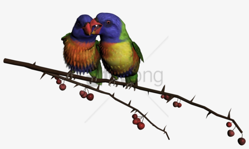 Free Png Beautiful Flying Birds Png Image With Transparent - Beautiful Flying Birds Png, transparent png #9643244