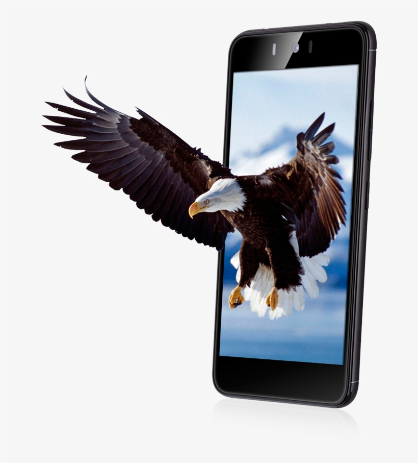 High Quality Ips Full Lamination Matrix Ensures Great, transparent png #9643251