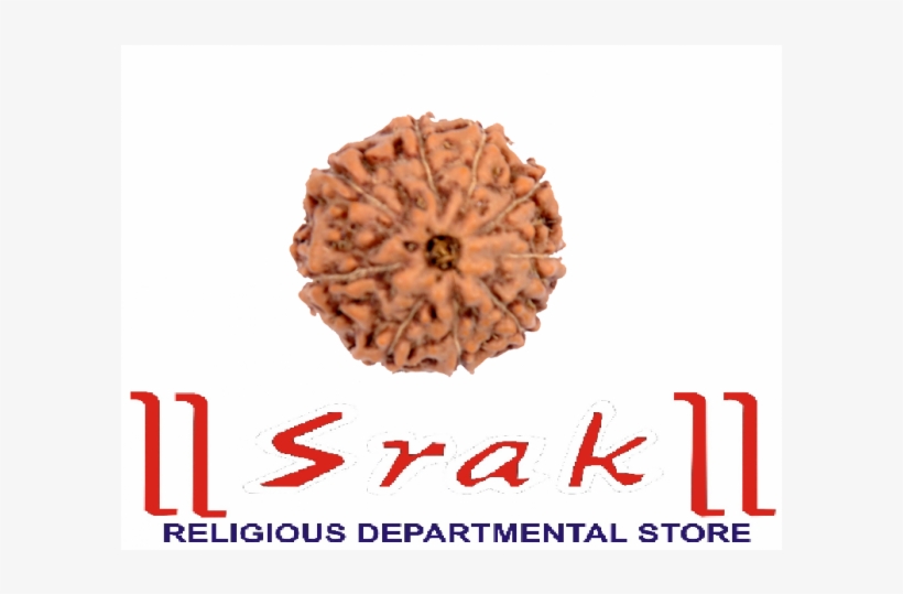 9 Mukhi Rudraksh - Light Blue Natural Sapphire, transparent png #9643857