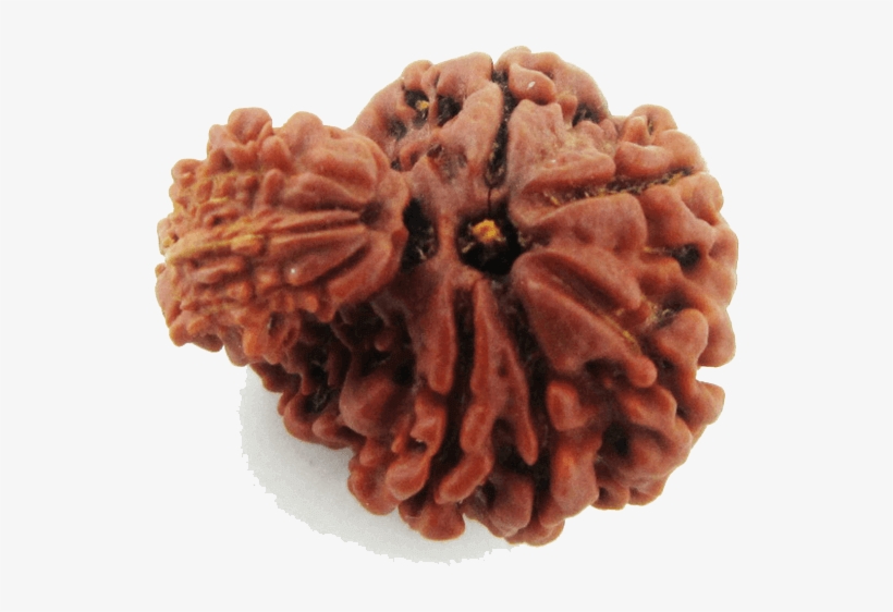 F - Chocolate, transparent png #9643905