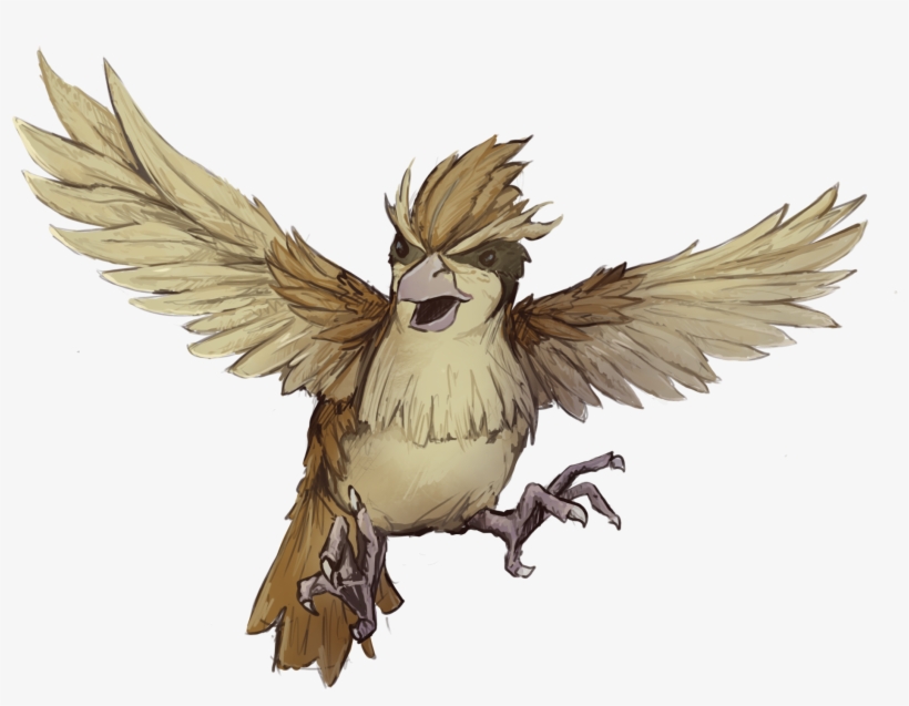 Actions - Parrot, transparent png #9645422