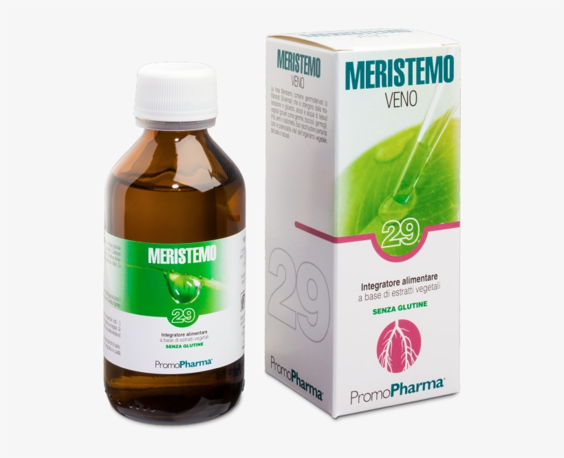 Meristemo 29 Veins - Meristemo 25, transparent png #9646857