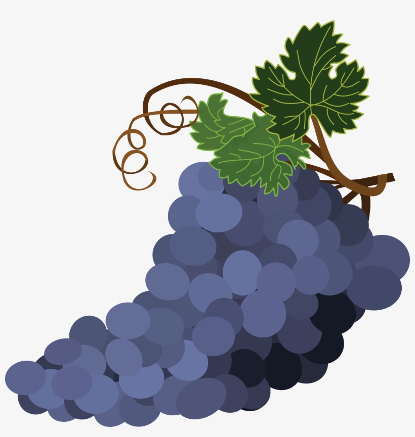 Free Clipart Of Grapes - Grape Vine, transparent png #9647108