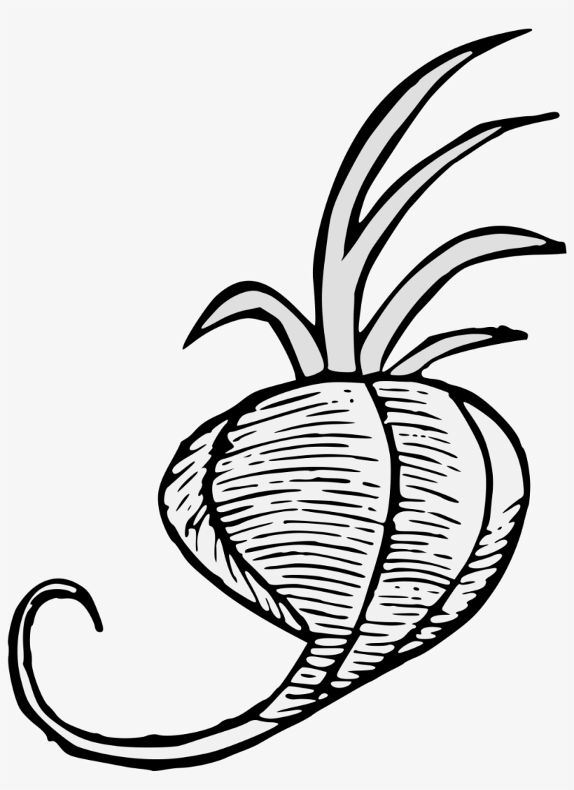 Details, Png - Illustration, transparent png #9647519